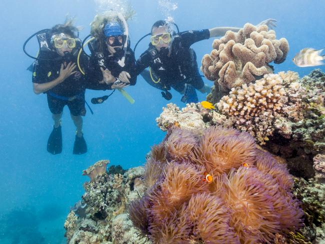 Nine New Queensland Tourism Experiences You Need To Know About  - A dive instructor leads introductory divers to view a sea anemone, home to "Nemo" the clownfish Credit Tourism and Events Queensland