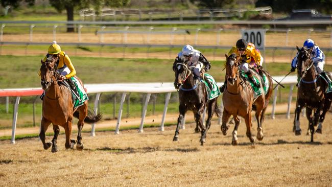 Stefi Magnetica broke her maiden at Wellington. Picture: Janian McMillan/Racing Photography