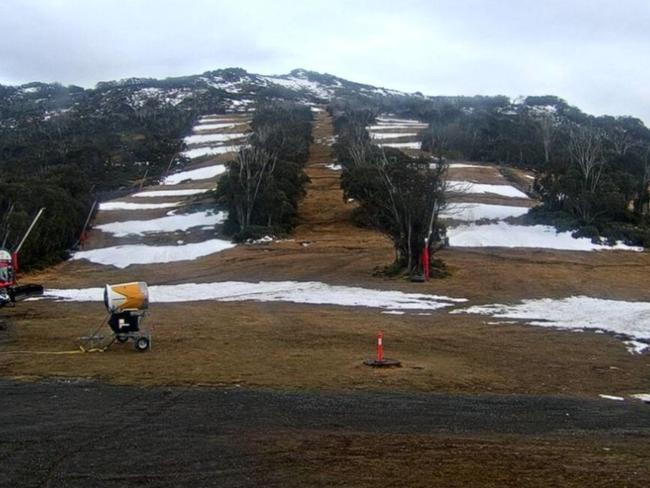 Livestream still of Merritts - Cruiser's Ballroom (left), Squatters Run (middle) & Walkabout (right) - three slopes at the Thredbo ski resort. Picture: SnowCam.com