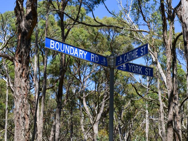 The corner of Boundary Rd, Cathie and York St at the Woowookarung Regional Park where she may have run through. Picture: Ian Wilson