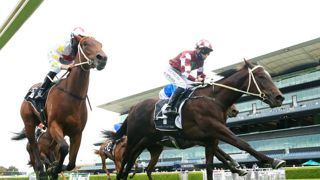 Kathy O'Hara and Rocket Tiger combine to win the opening race at Royal Randwick.