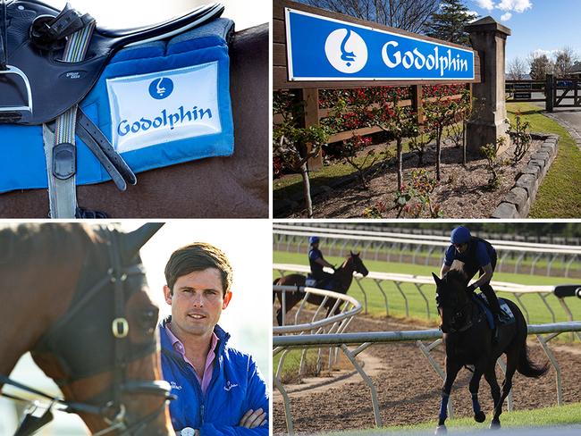 Trainer James Cummings (bottom left) at Osborne Park, Godolphin's sprawling Agnes Banks training complex.