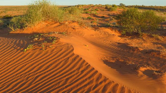 The Simpson Desert — a violence free model for the lockouts?