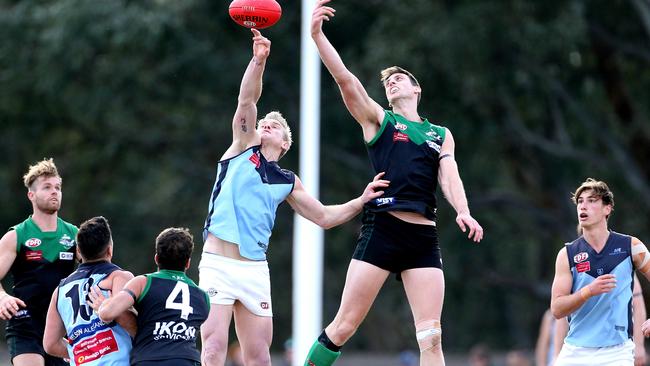 Aberfeldie’s Courtney Johns wins the tap out. Picture: Hamish Blair