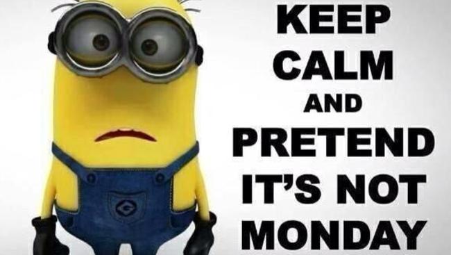 Minions were THE meme of 2015. Let 2016 bring us something new ... and cute.