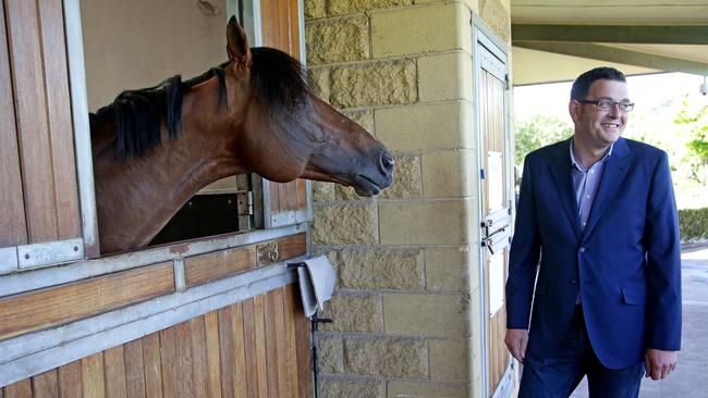 Then opposition leader Daniel Andrews with Lloyd Williams' 2012 Melbourne Cup winner Green Moon at Macedon Lodge in 2014. Picture: Hamish Blair