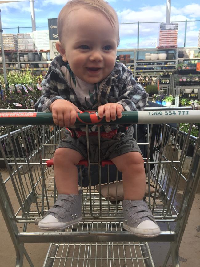 Drover Leslie Toepfer, 7 months old. Picture: Stevi Woodberry