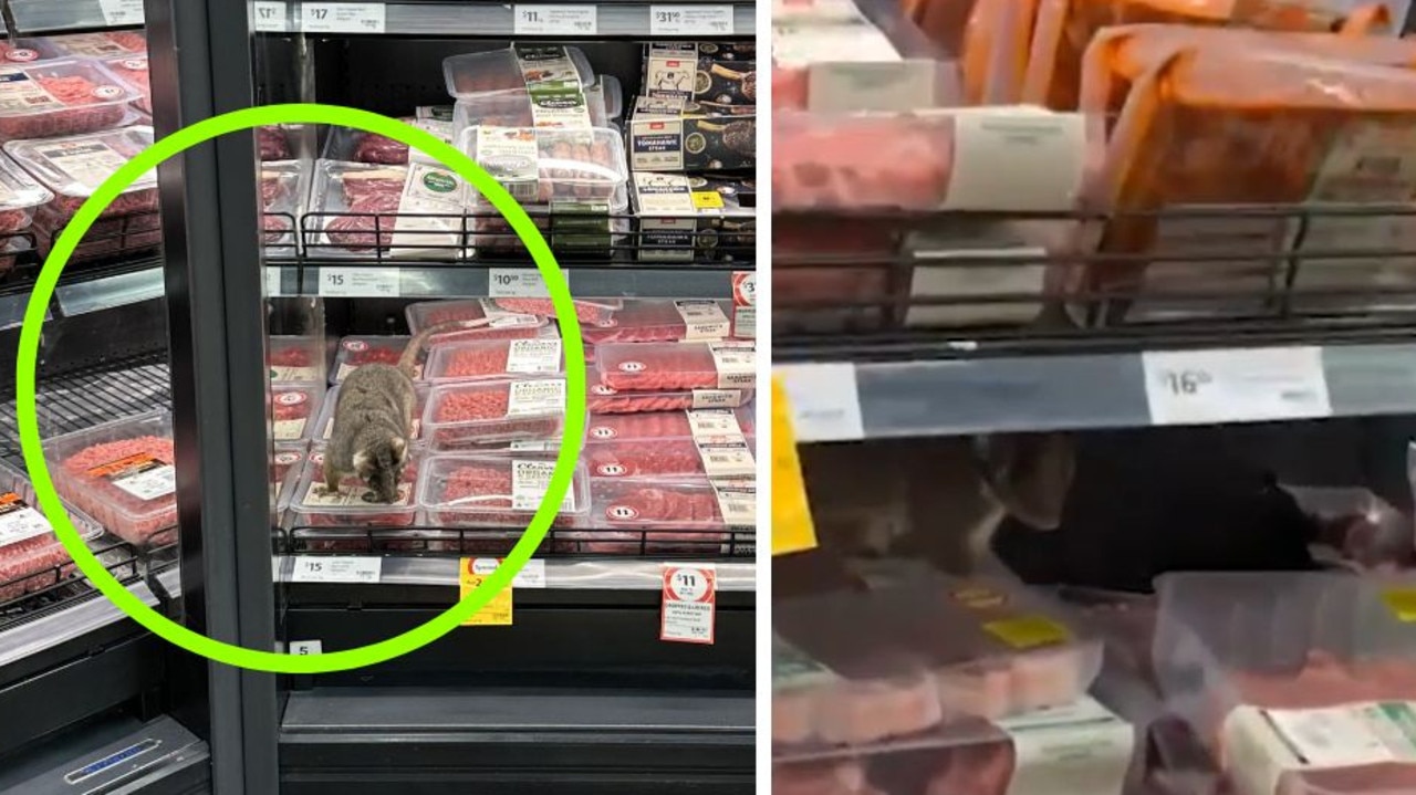 Shoppers were shocked to find a furry friend hiding in the Coles meat section.