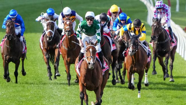 Prognosis (right, yellow and black silks) was no match for Cox Plate winner Via Sistina, while Pride Of Jenni (far right, purple and blue silks) will likely be sent for a spell after finishing second last. Picture: Brett Holburt/Racing Photos via Getty Images