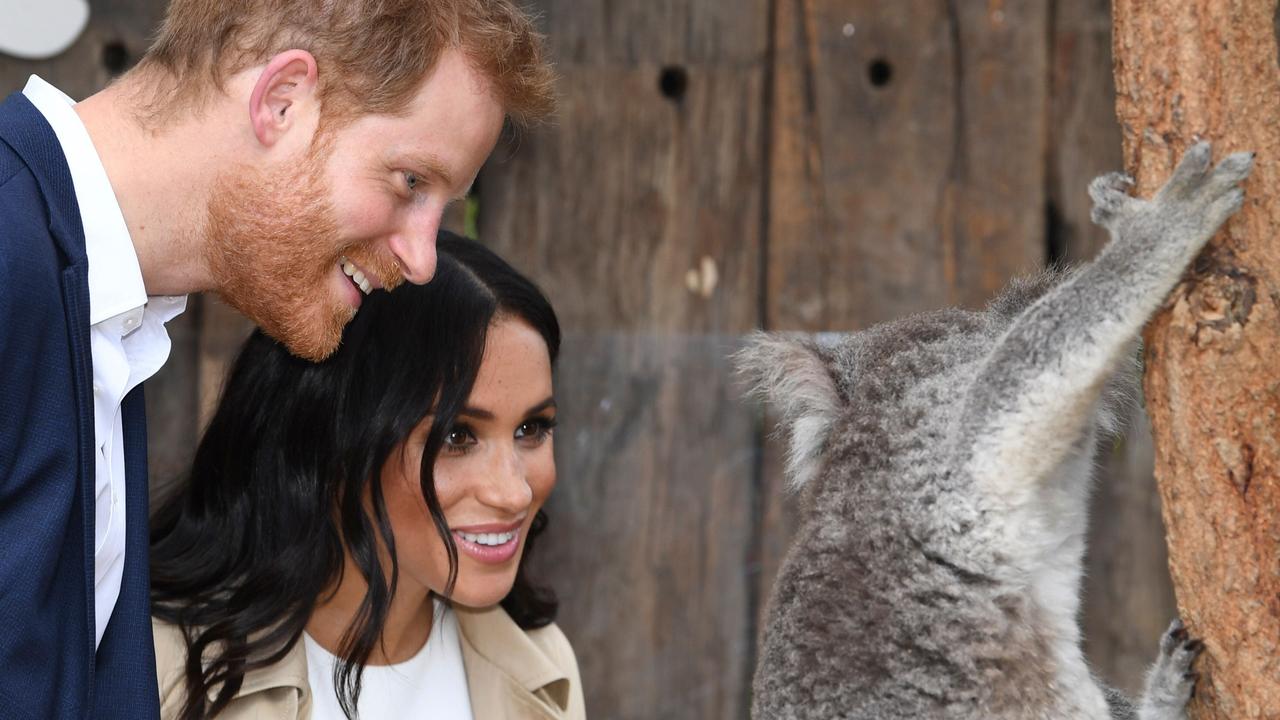 Prince Harry and his wife Meghan meet a koala named Ruby and its koala joey named Meghan during a visit to Taronga Zoo in Sydney. Picture: Dean Lewins