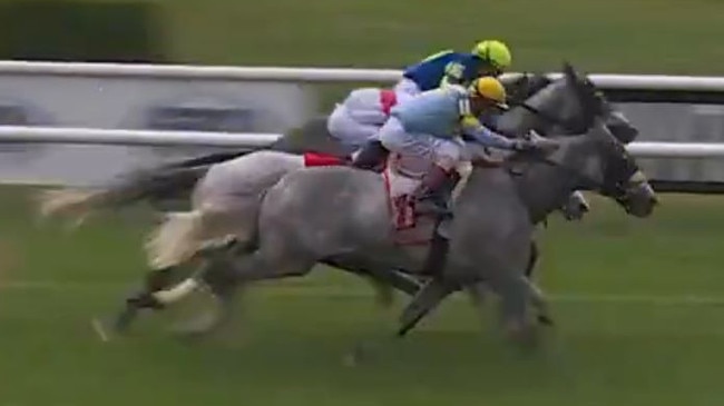 THE GREY WIZARD wins the Grade 2 Belmont Gold Cup and a Golden Ticket to the Melbourne Cup Picture: Supplied