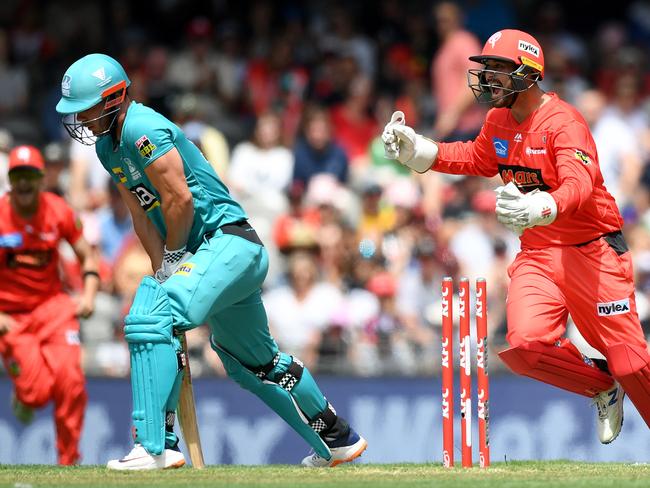 Brayden Stepien celebrates the wicket of Chris Lynn.