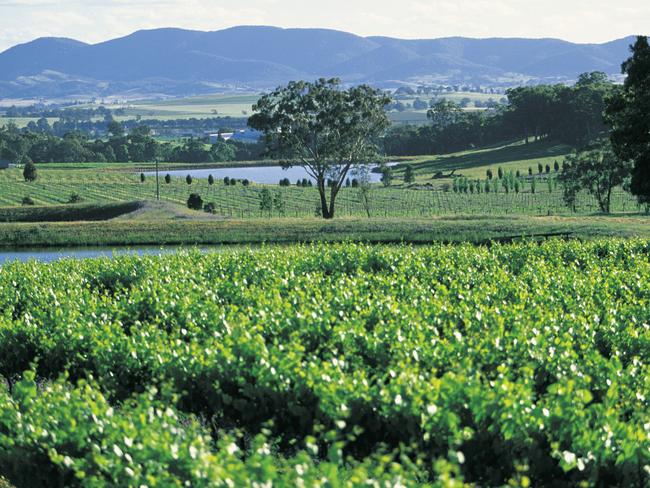 Property May 9 Regional Spotlight Mudgee view, credit Tourism NSW. One use only