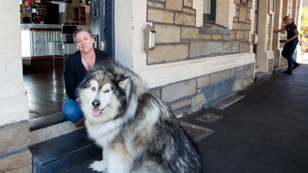 are dogs allowed in pubs in australia