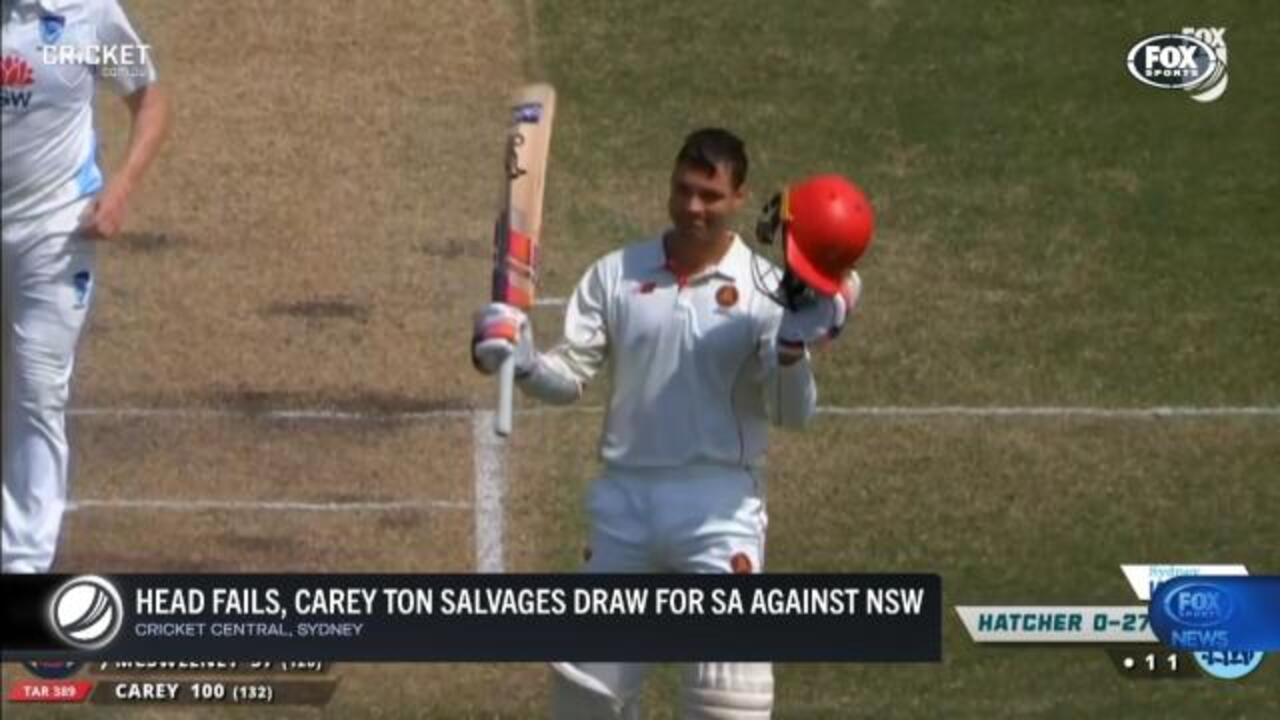 Carey scores ton in SA fightback