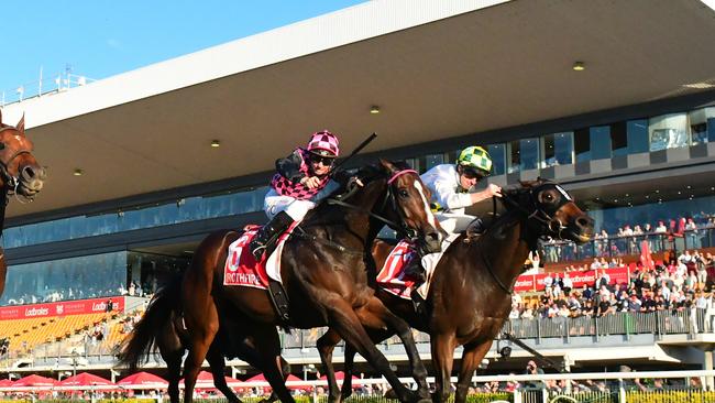 Champion jockey James McDonald on Sunshine In Paris edges out local hero Rothfire in a thrilling Group 1 Doomben 10,000. Picture: Grant Peters-Trackside Photography.