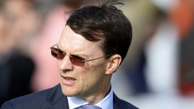 Aidan O'Brien has perhaps his best chance at a Melbourne Cup with Johannes Vermeer