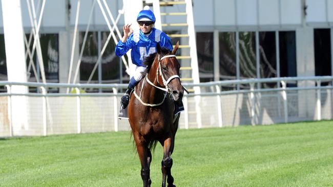 Winx extended her winning streak to seven with a dominant win in the Chipping Norton Stakes. Picture: Simon Bullard
