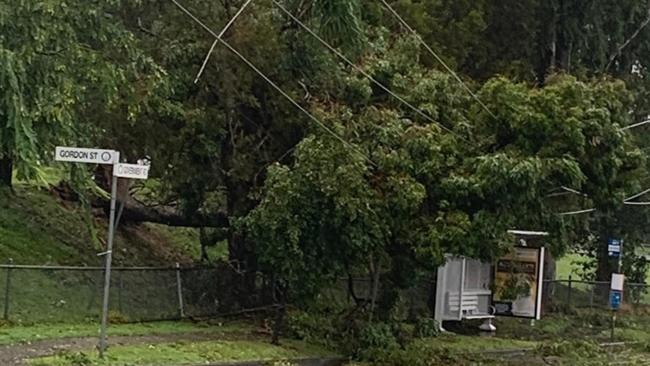 Cyclone Alfred - power lines down across a bus shelter outside the Labrador Primary School in Gordon Street.