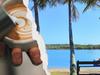 Surprise blitz: High end restaurants, ‘cheap eats’, farms in firing line