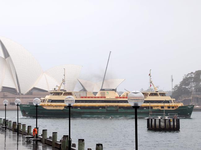 Ferries will replace the broken light rail. Picture: Damian Shaw