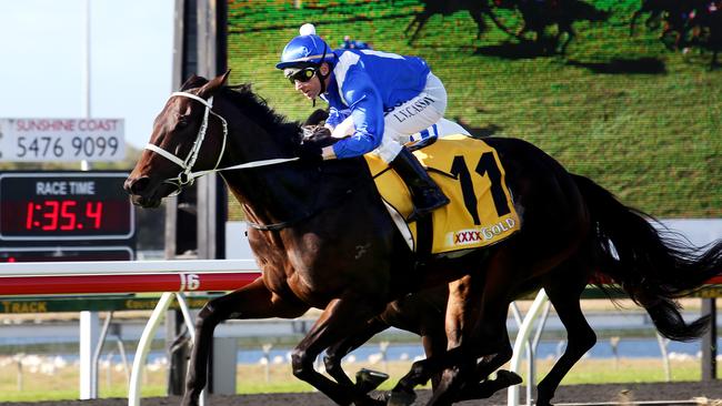 The Sunshine Coast Guineas was where the Winx phenomenon started. Picture: Tara Croser