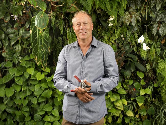 Mosman’s Mark Paul of The Greenwall Company loves “stuffing around with the plants”. Pictured in the Qantas International First Lounge in Sydney in front of the vertical garden he helped to create. Picture: Chris Pavlich