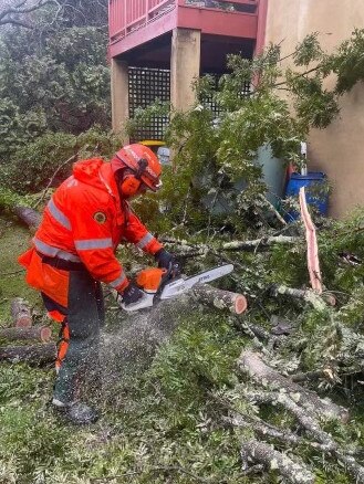 Moss Vale and Wingecarribee SES crews chainsawing a tree which fell on a Berrima property during the heavy rain.