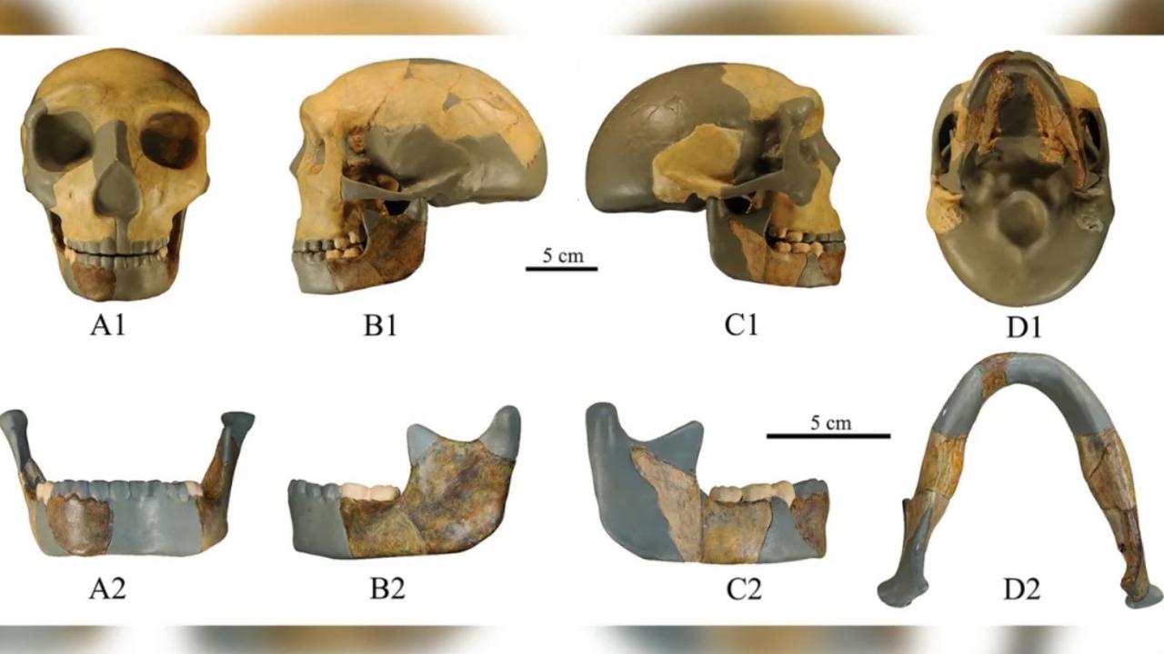 The skull is believed to be 300,000 years old. Picture: Xiujie Wu/National Research Center on Human Evolution