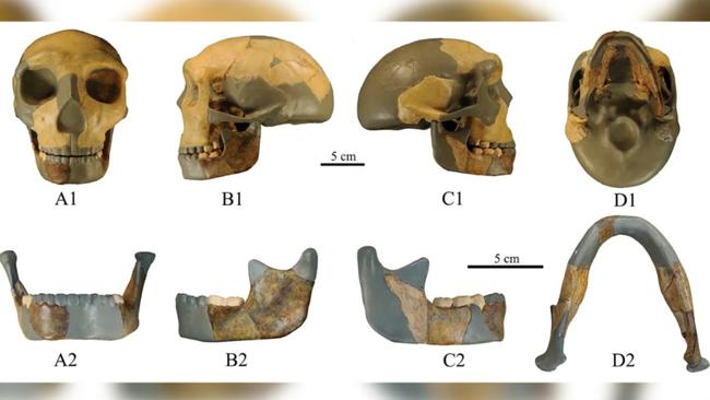 The skull is believed to be 300,000 years old. Picture: Xiujie Wu/National Research Center on Human Evolution