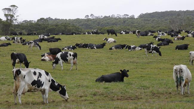 The last farm in Ace Dairies $70m Gippsland portfolio was sold in June with four different buyers securing a slice.