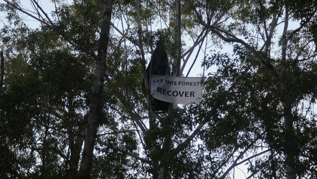 Action by the Gumbaynggirr Conservation Group at Bagawa State Forest in 2020.