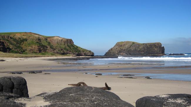 Bushrangers Bay on the Mornington Peninsula.