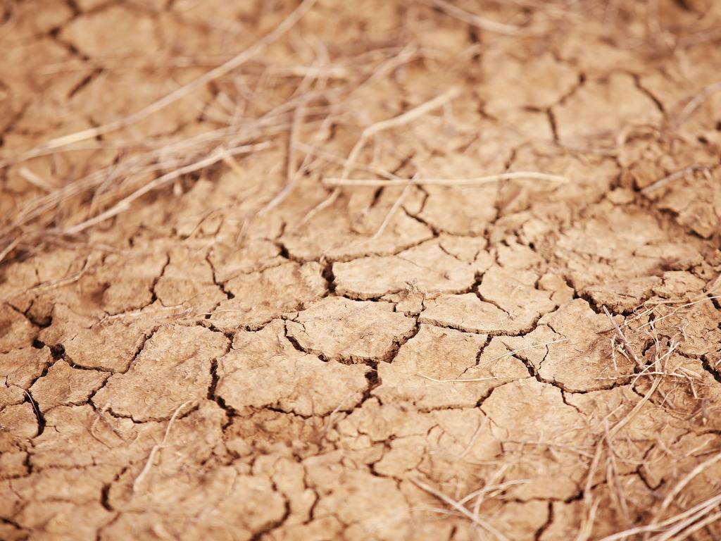 Dry cracked ground in Walgett as parts of NSW battle through one of the worst dry spells in history. Picture: Sam Ruttyn