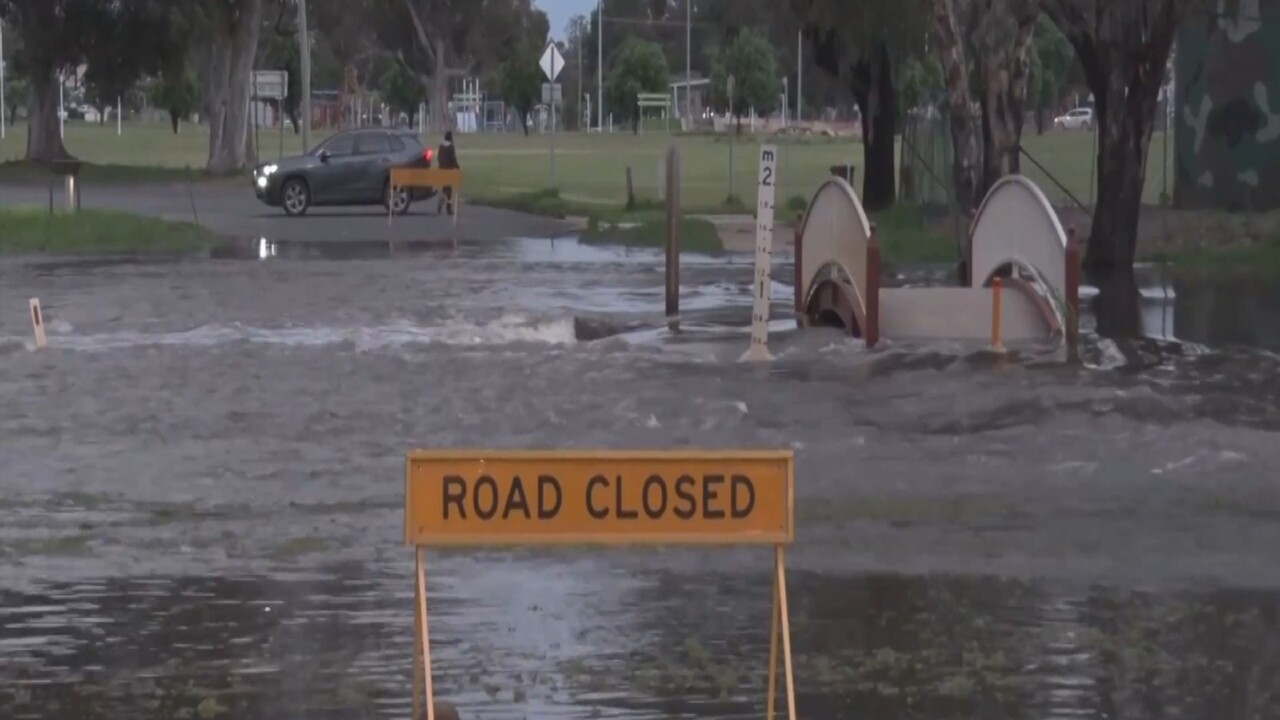 'There's a lot of anxiety': Forbes likely to break 1952 flood levels