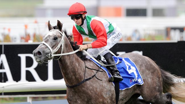 Sir Bacchus is expected to figure prominently during the Queensland winter carnival. Picture: Simon Bullard