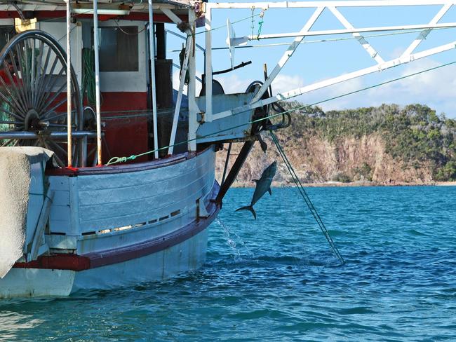 A gillnetting boat hauling grey mackerel near Snapper Island in 2007.