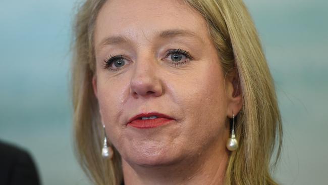 New Nationalsdeputy leader Bridget McKenzie. Picture: AAP.