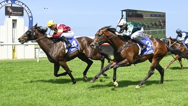 After a debut second, Walk The Pier (right) can go one better when he returns to Kembla. Picture: Bradley Photos