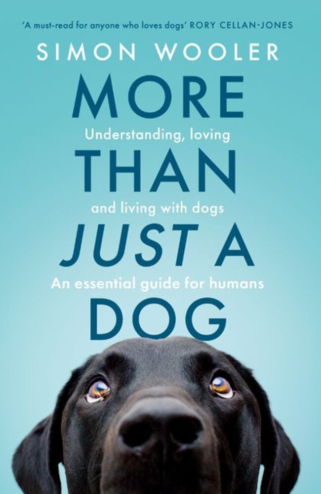 Who could resist? … More Than Just A Dog by Simon Wooler