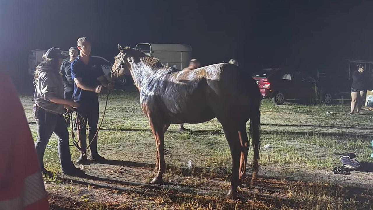 With "locals helping locals", the horse was eventually freed. Picture: Croakers Towing Service