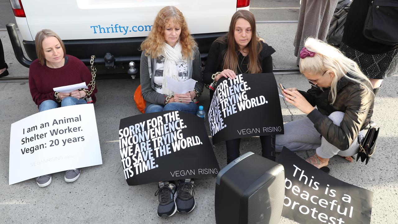 Hundreds of vegans are taking part in the protest. Picture: AAP Image/David Crosling