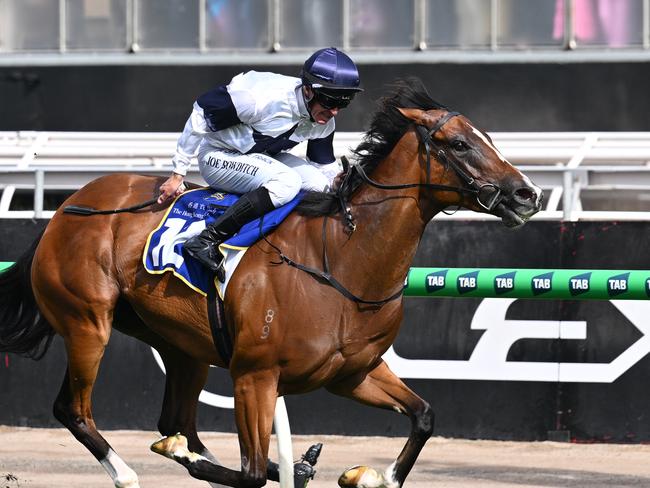 Fancify, ridden by Joe Bowditch, wins The Hong Kong Jockey Club Stakes on Melbourne Cup Day at Flemington. Picture: Vince Caligiuri/Getty Images