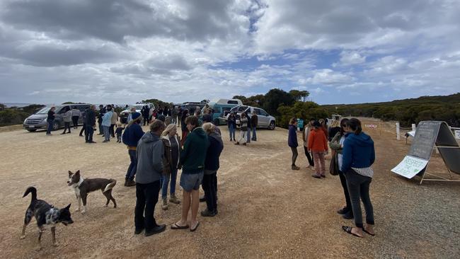 Around 180 protesters met at the gates of Whalers Way on Sunday armed with makeshift signs. Picture: Micaela Stark