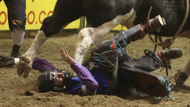 Bull rider Bradie Gray gets stomped in the chest after being thrown. Picture: AP