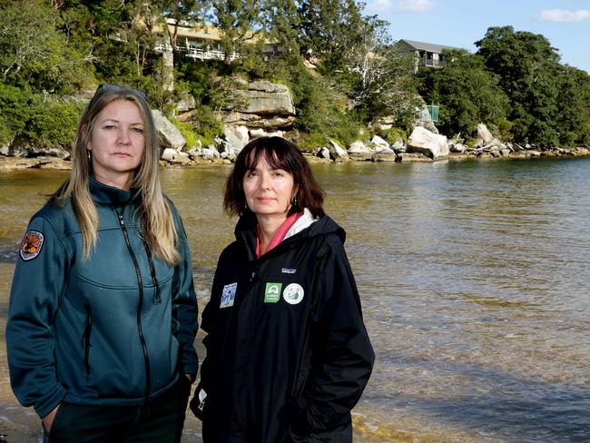 NPWS ranger Mel Tyas and penguin warden Sally Garman on Collins Flat — which 26 penguins have been killed by a fox