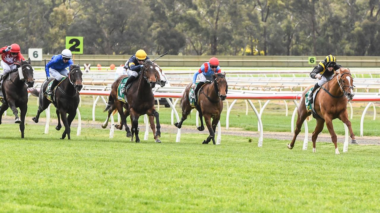 Pivot City put a space on his rivals in his debut win at Bendigo in August. Picture : Racing Photos via Getty Images.
