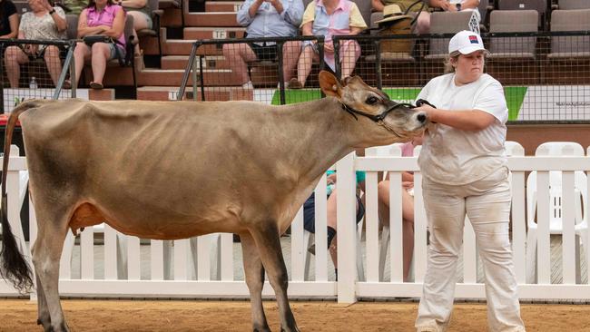 Many breeds were on display at International Dairy Week on Monday. Picture: Rob Leeson