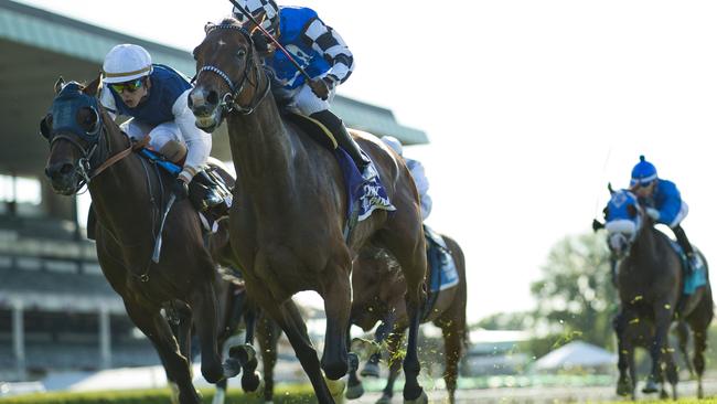 RAIDER: Red Cardinal, part-owned by the Adelaide Club’s Terrace Syndicate, wins the Belmont Gold Cup Invitational on June 9 in New York. Picture: Alex Evers/Eclipse Sportswire/Getty