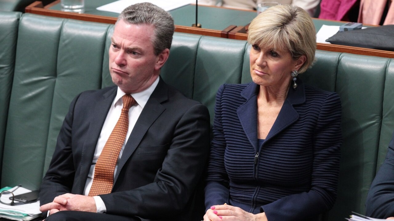 Julie Bishop, Christopher Pyne front senate committee